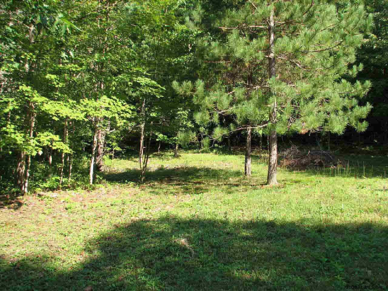 Halls Pond Road Salem, NY 12865 - Photo 5 of 6 Photo 5