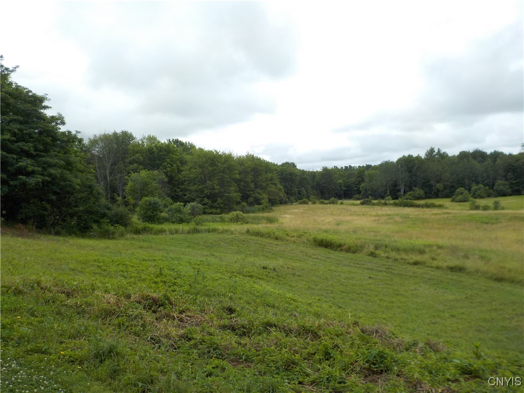 3730 Floridaville Road Ira, NY 13033 - Photo 5 of 40