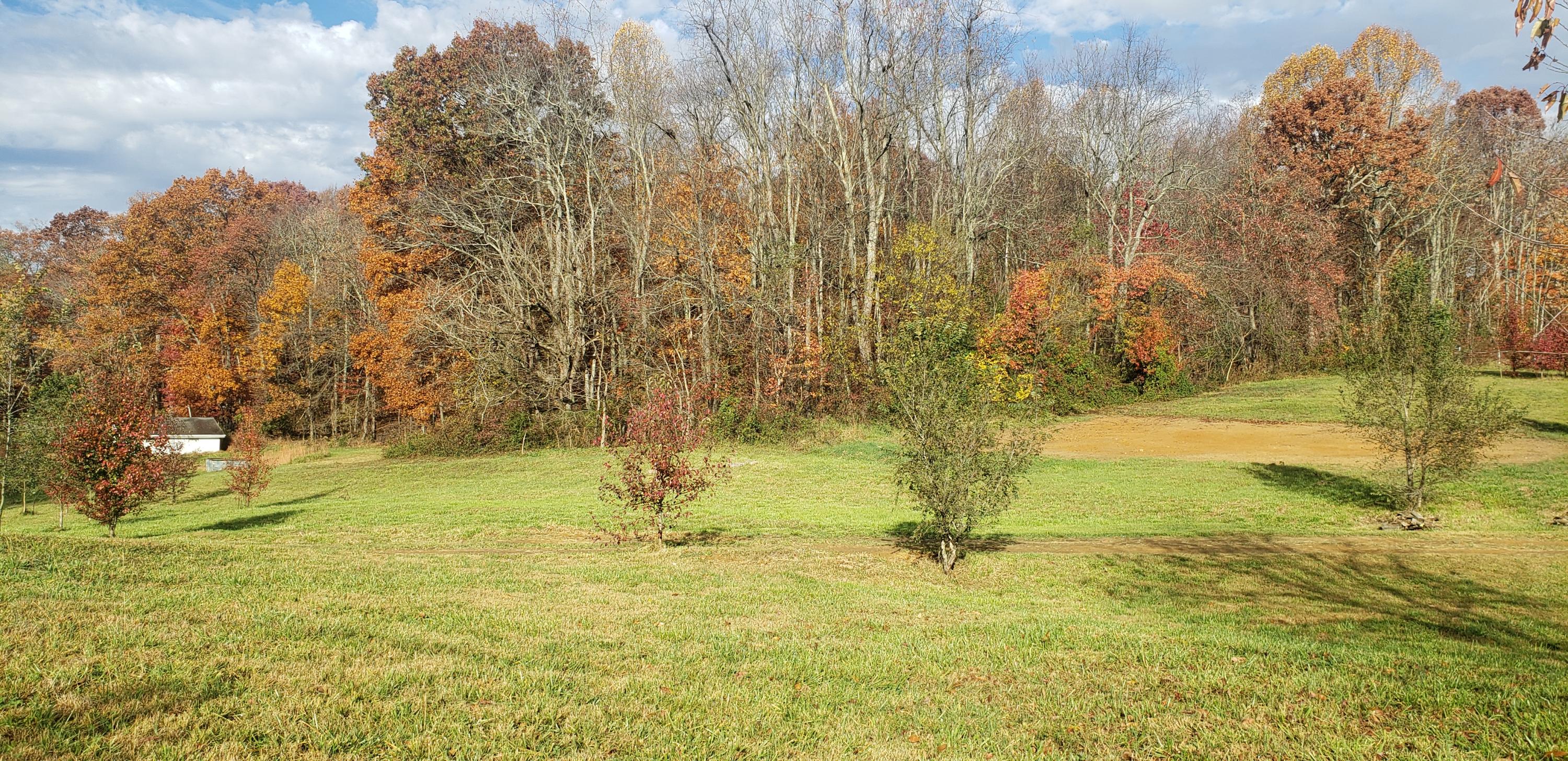 100 Kincheloe Road Fall Branch, TN 37656 - Photo 1 of 3 20201111_092131
