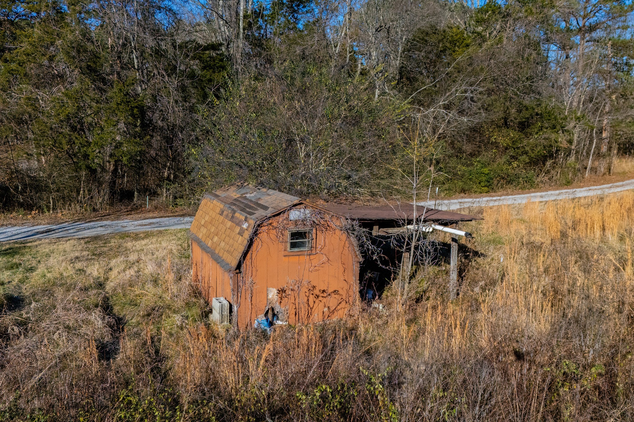 2854 Joe Dowlen Road Pleasant View, TN 37146 - Photo 11 of 12 a view of outdoor space and yard