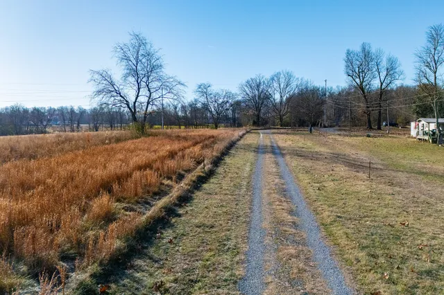 a view of a yard with trees