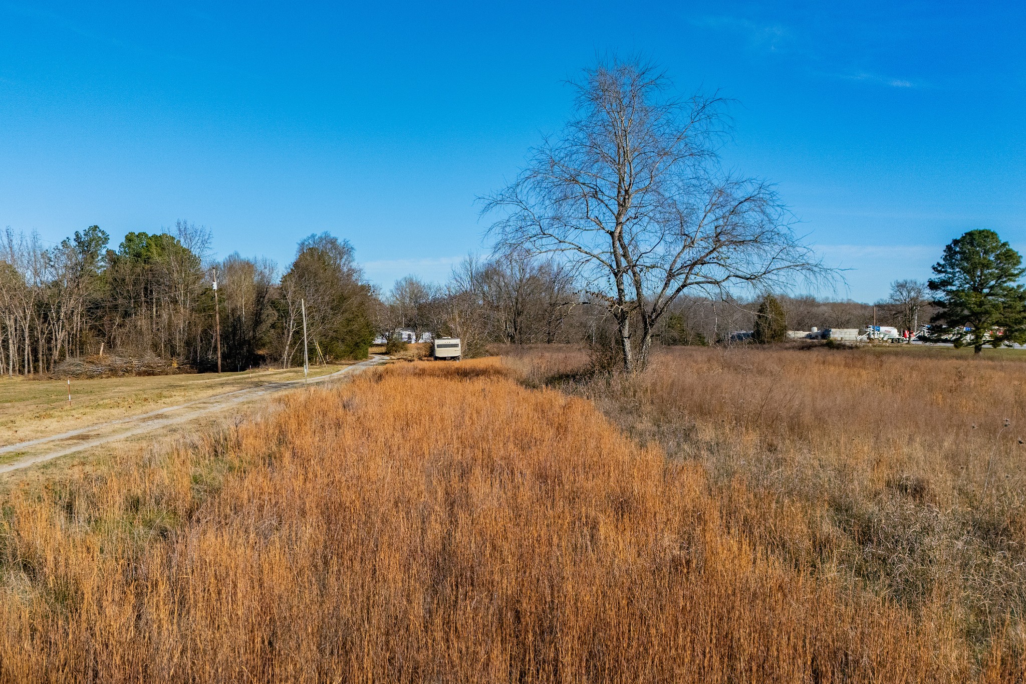 2854 Joe Dowlen Road Pleasant View, TN 37146 - Photo 7 of 12 a view of road view with large trees