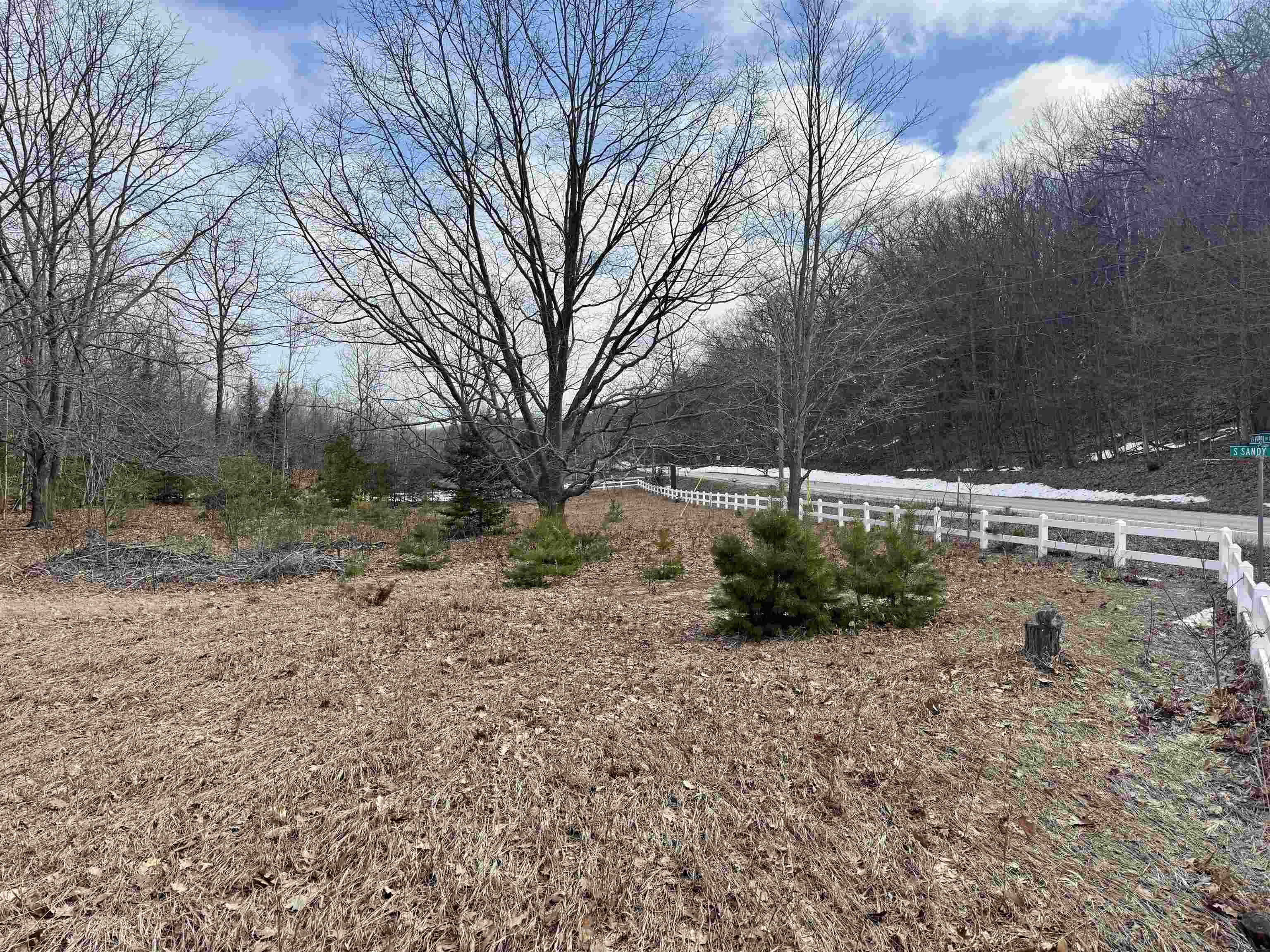 0 East Sandy Lane Cedar, MI 49621 - Photo 15 of 20
