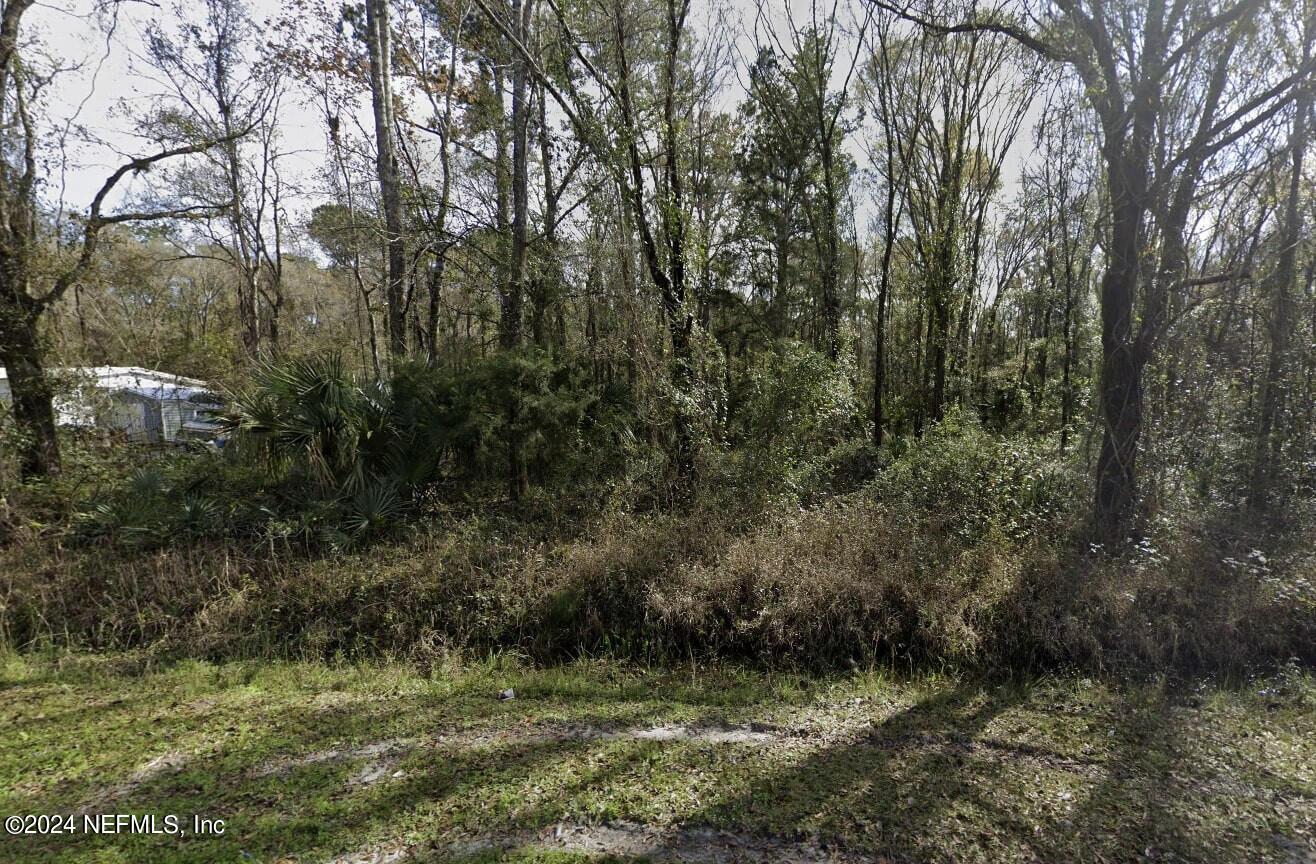 4566 Division Street Hastings, FL 32145 - Photo 3 of 5 a view of a lush green forest