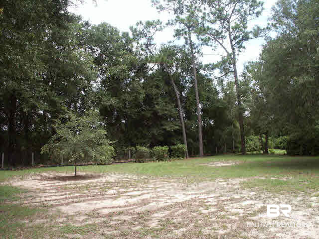 9092 Soldier Creek Road Lillian, AL 36549 - Photo 16 of 19 Large Back Yard