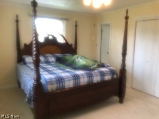 291 Glenview Road Canfield, OH 44406 - Photo 14 of 22 Gallery Image 14
