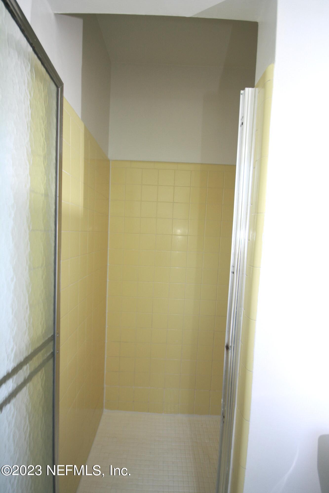 2529 Caladium Road Jacksonville, FL 32211 - Photo 12 of 19 Owner's shower