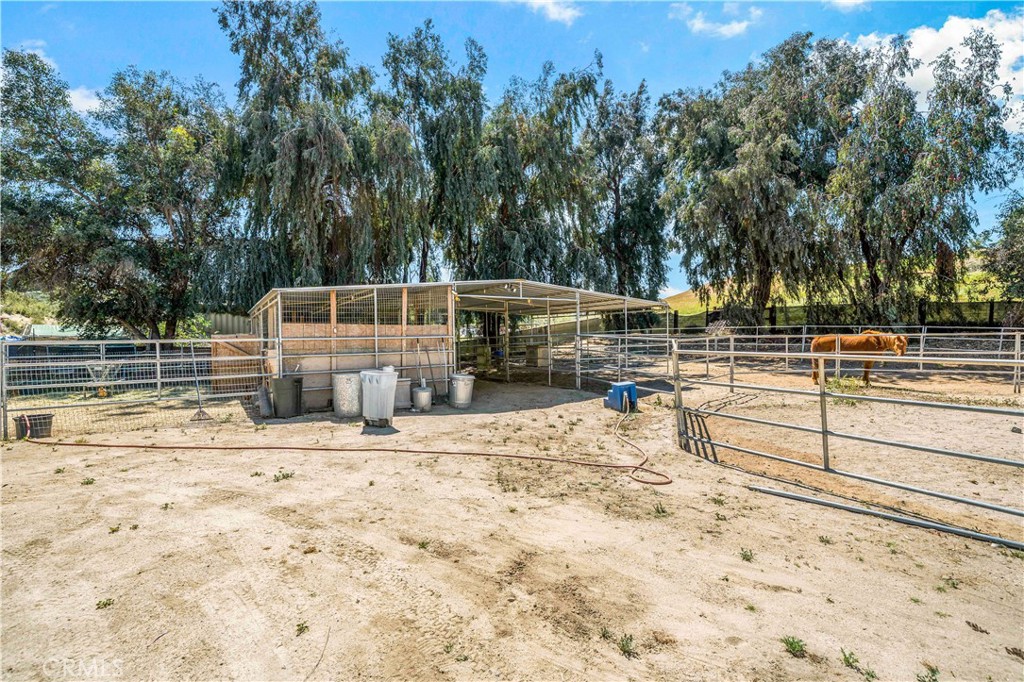 39980 Vía Fernando Temecula, CA 92592 - Photo 9 of 73 Room for All your Animals!