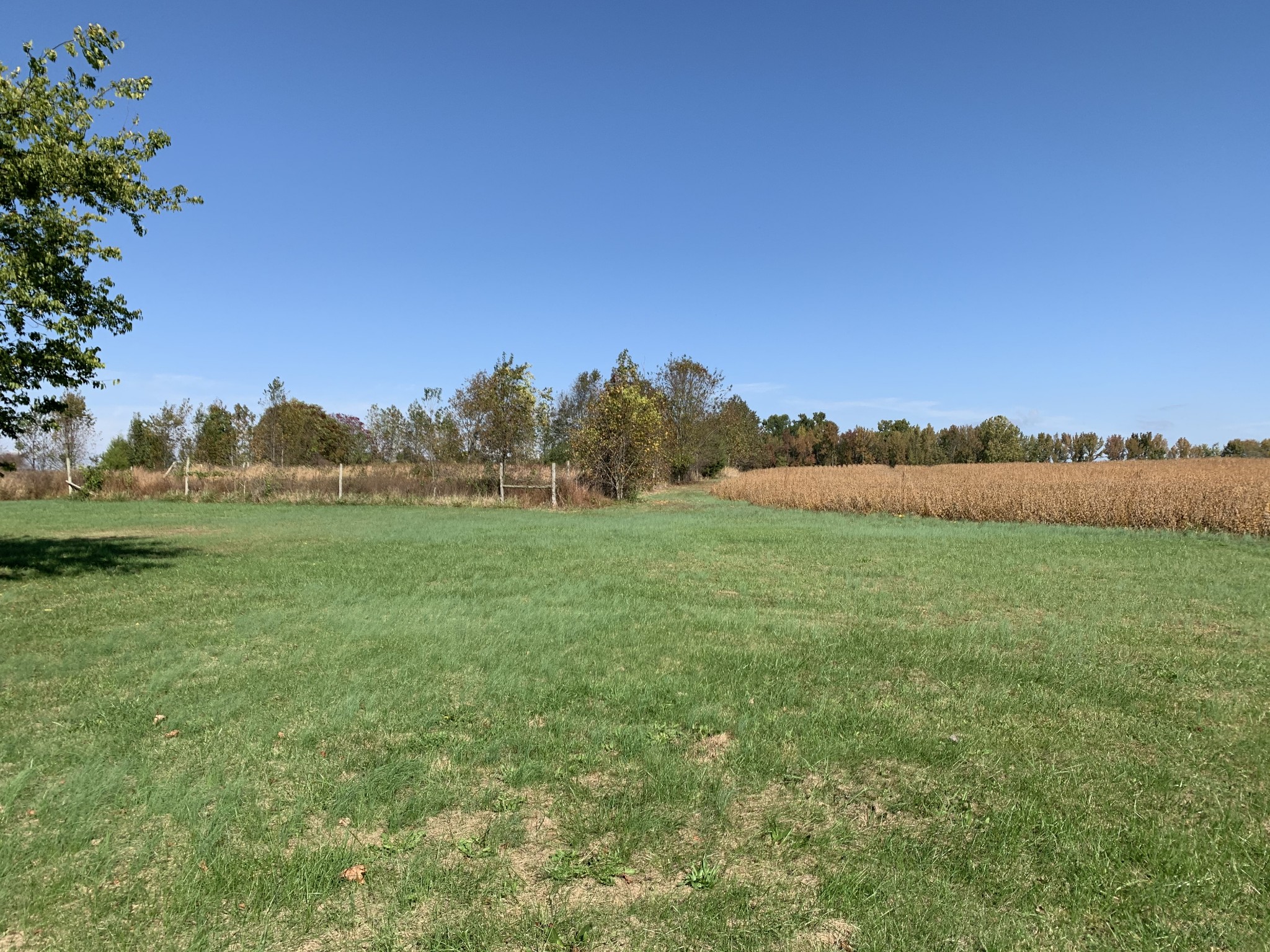 115 Woods Road Portland, TN 37148 - Photo 2 of 8 Gallery Image 2