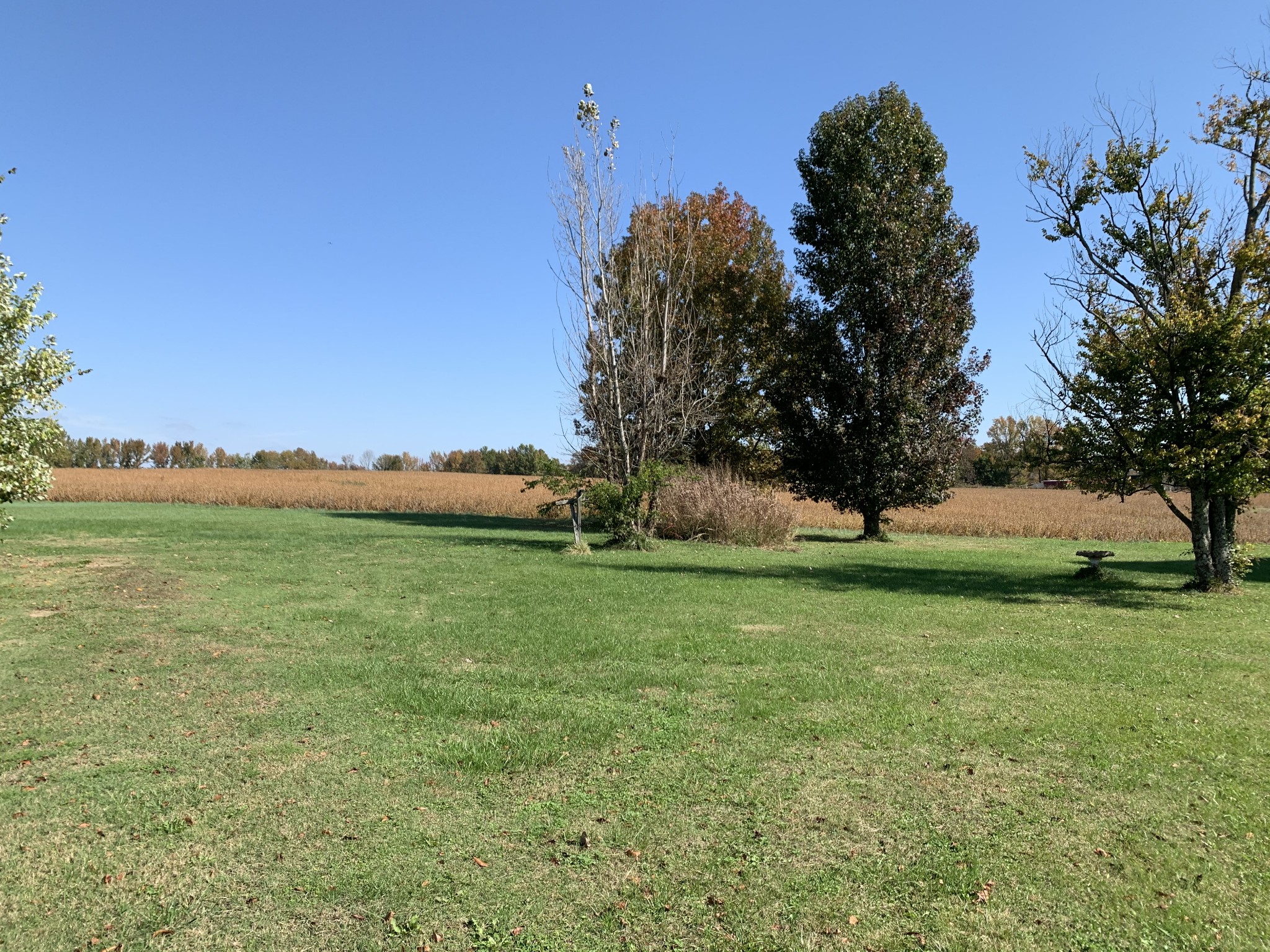 115 Woods Road Portland, TN 37148 - Photo 3 of 8 Gallery Image 3