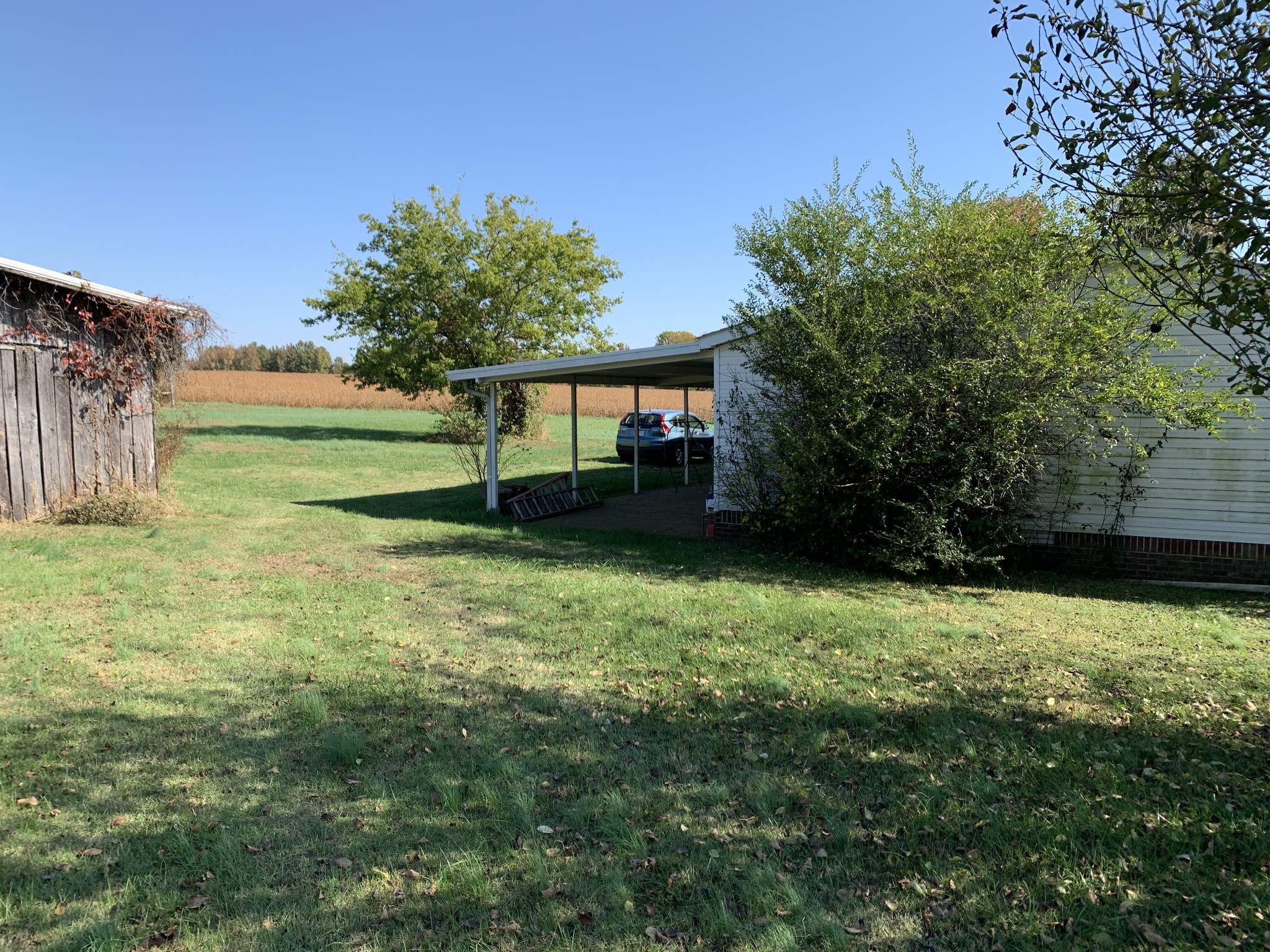 115 Woods Road Portland, TN 37148 - Photo 6 of 8 Gallery Image 6