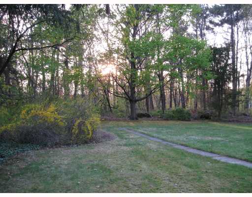3424 Diamond Hill Road Cumberland, RI 02864 - Photo 5 of 8 Land/Lot. Nice size, back yard with plenty of trees for privacy