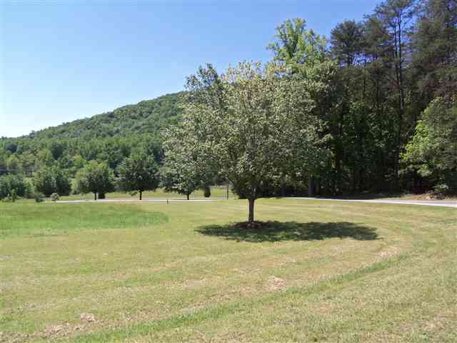 1122 East Preston McDaniel Road Pickens, SC 29671 - Photo 9 of 24