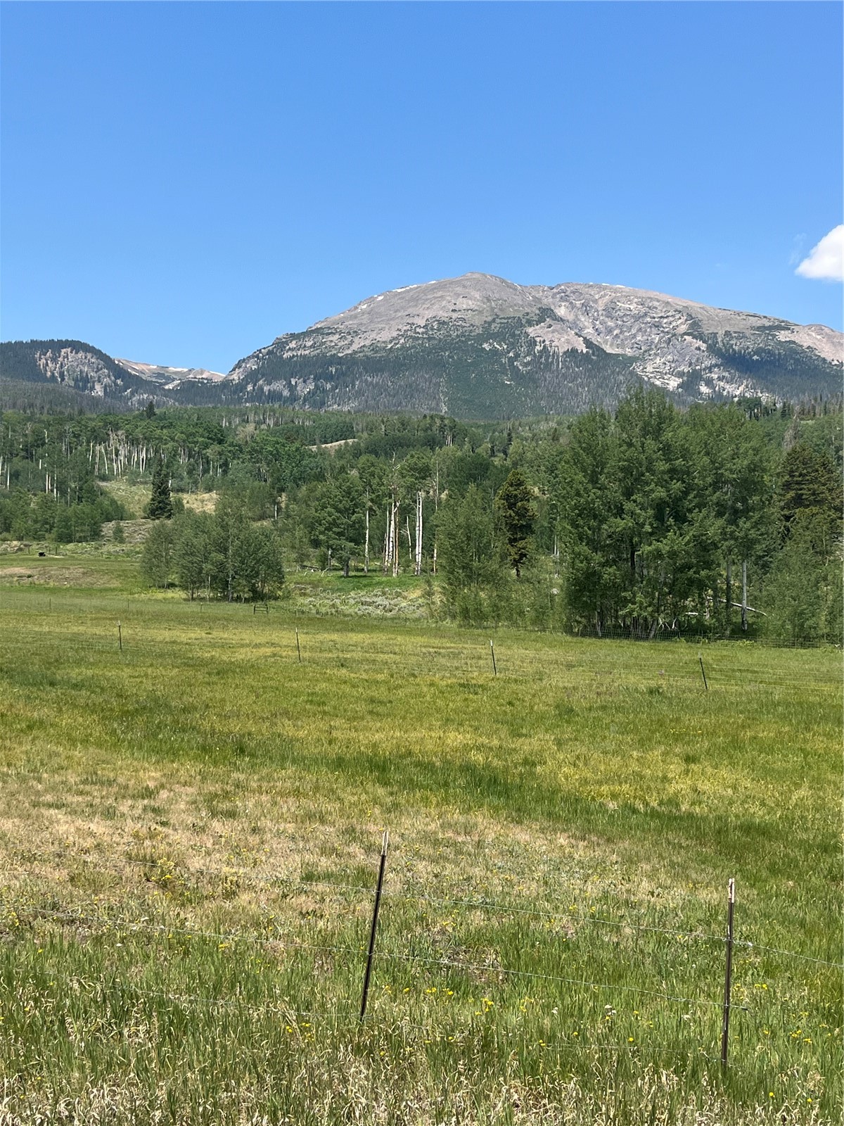 430 Giberson Road Frisco, CO 80443 - Photo 5 of 5