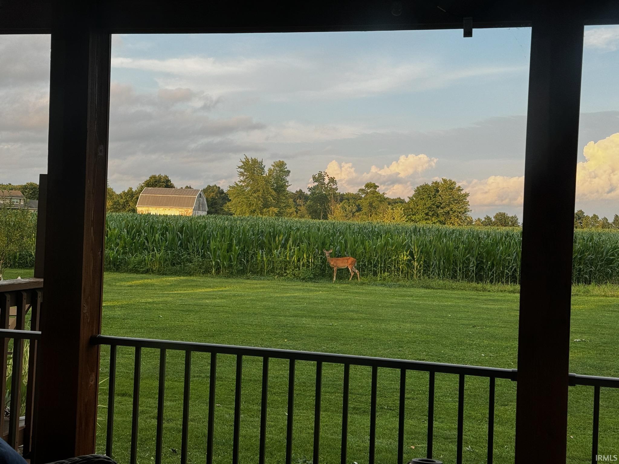 17411 Indianapolis Road Yoder, IN 46798 - Photo 32 of 34