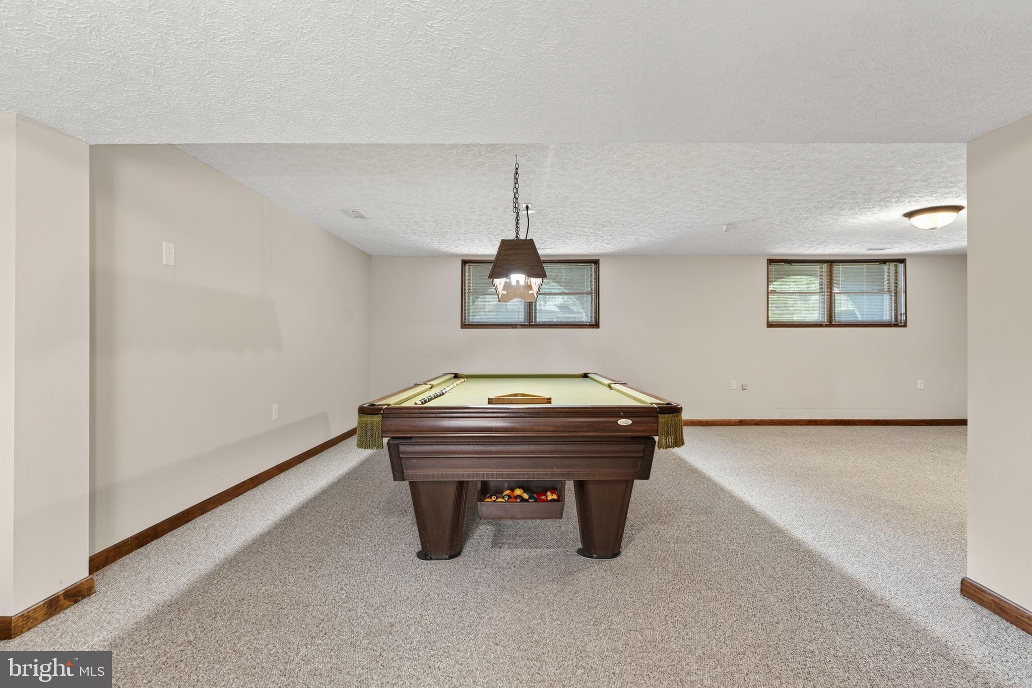 107 Roszel Road Winchester, VA 22601 - Photo 34 of 87 Recreation Room
