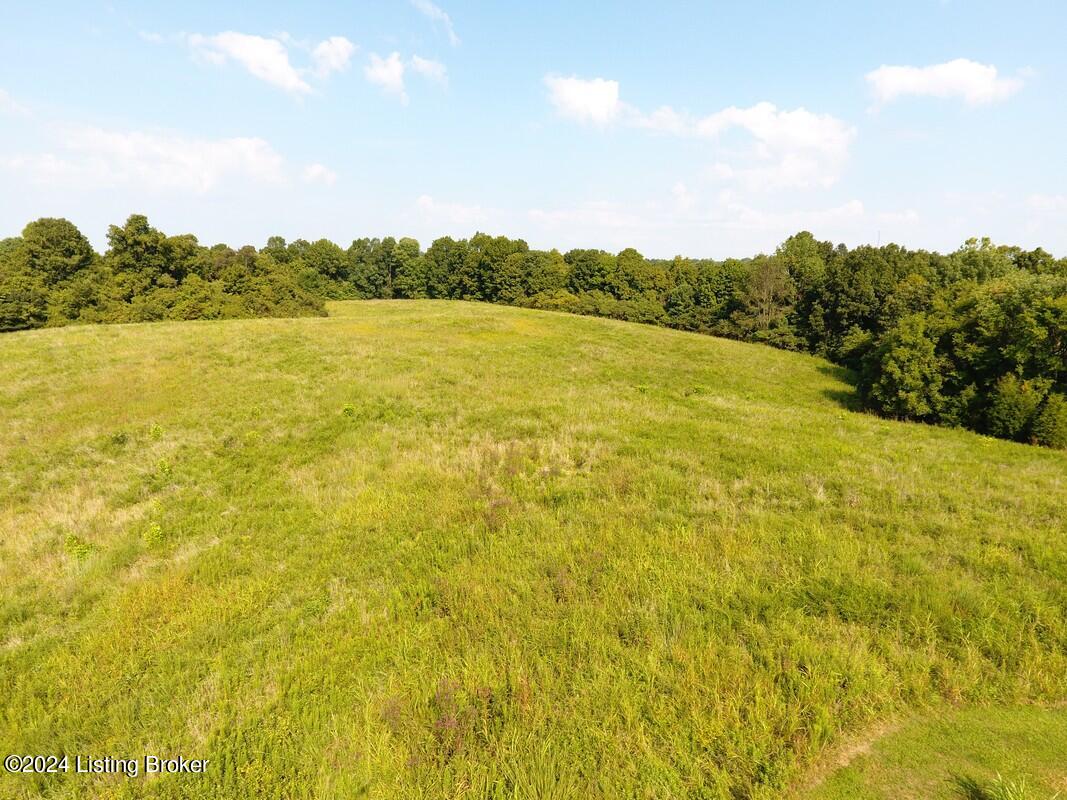 783 Lawrence Hayes Road Caneyville, KY 42721 - Photo 114 of 149 783 LH aerial10