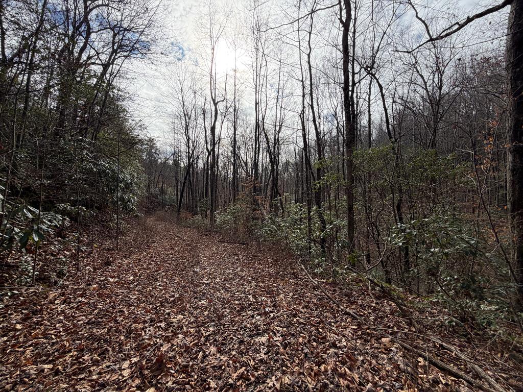 135.49-ac Webb Creek Road Andrews, NC 28901 - Photo 14 of 34