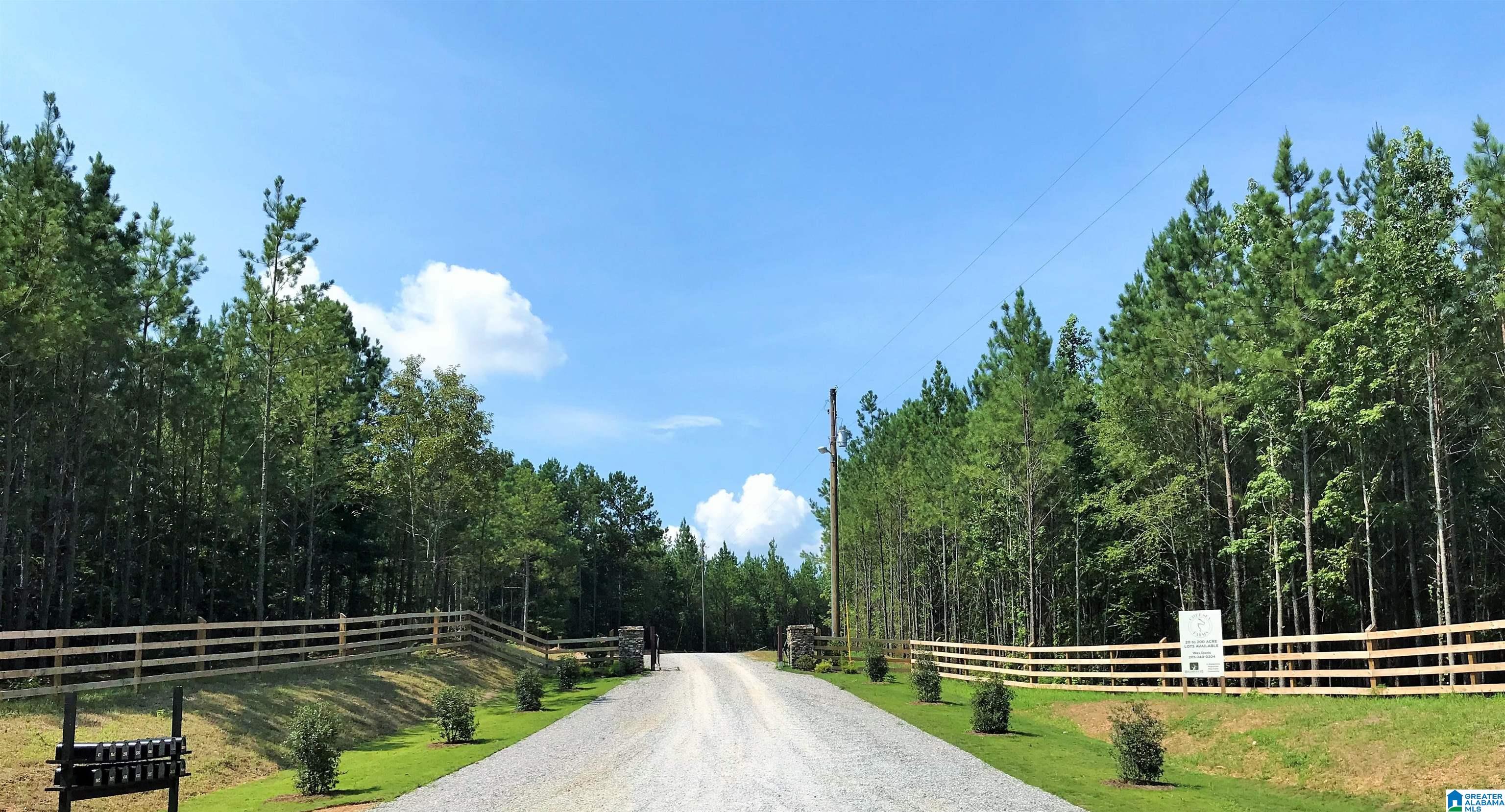 0 Chelsea Farms Road, Unit 24 Chelsea, AL 35043 - Photo 33 of 37