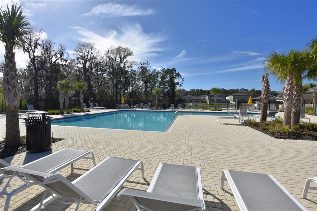 1940 Red Loop Lakeland, FL 33801 - Photo 2 of 35