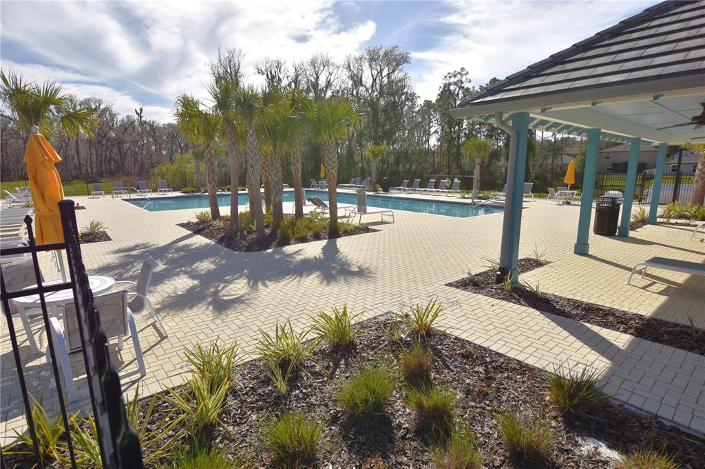 1940 Red Loop Lakeland, FL 33801 - Photo 29 of 35