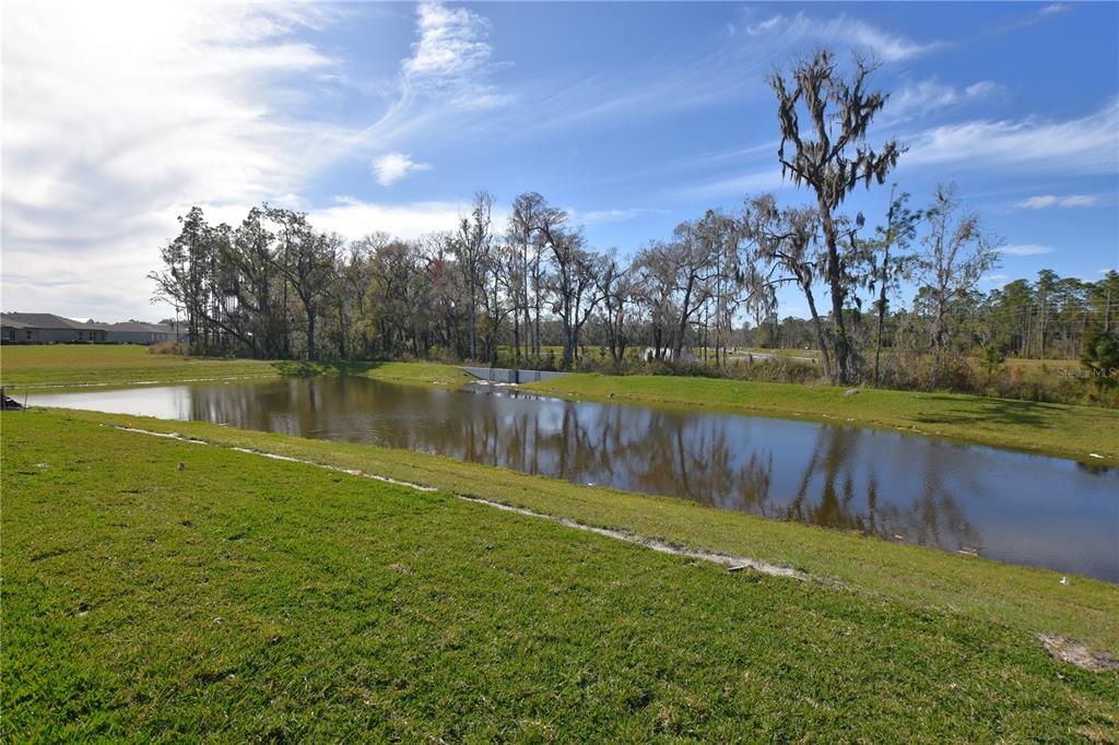 1940 Red Loop Lakeland, FL 33801 - Photo 35 of 35