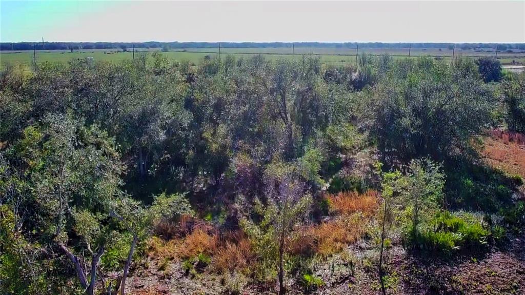 69 Duncan Road Punta Gorda, FL 33982 - Photo 5 of 10