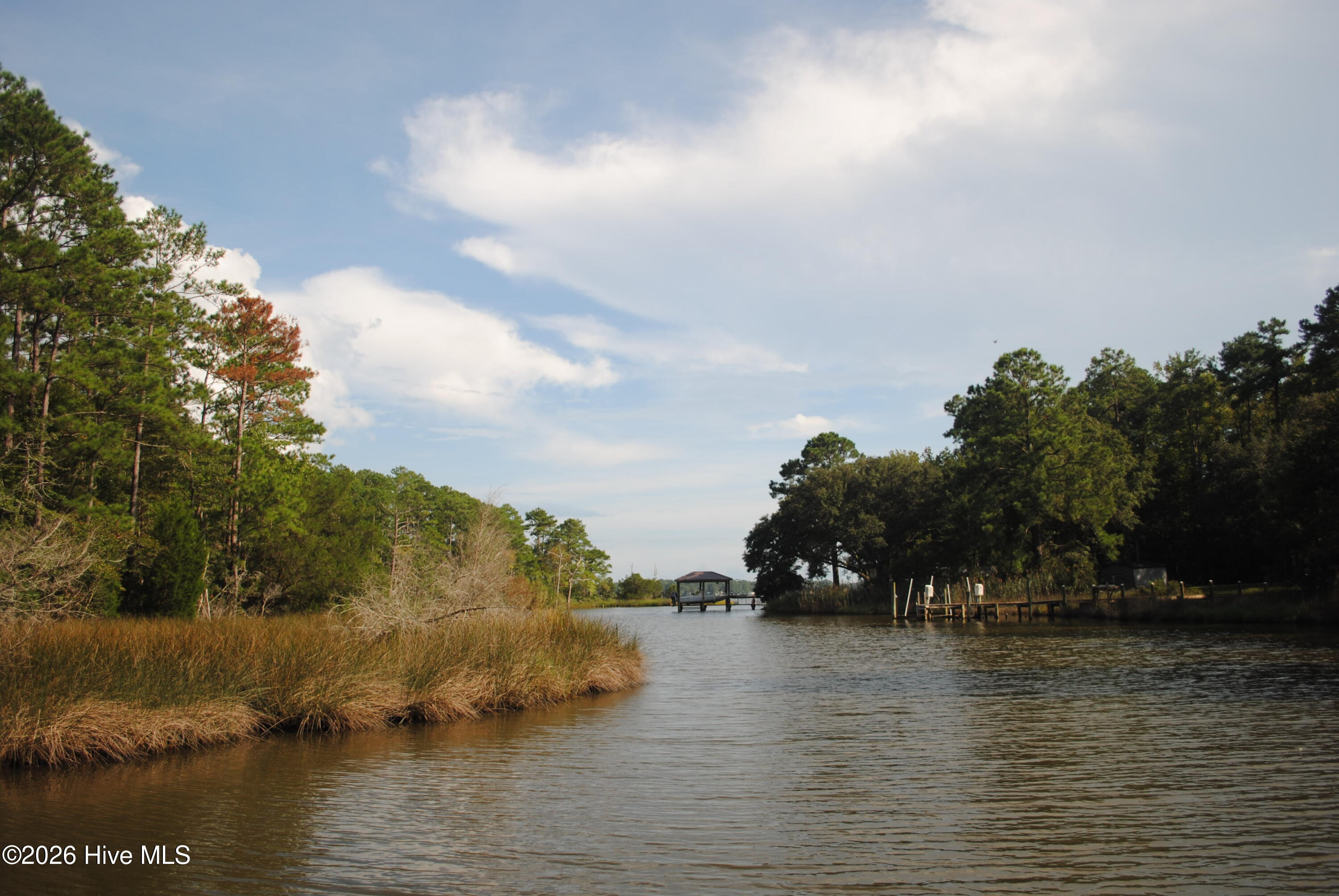 1402 Lynchs Beach Loop Road Bayboro, NC 28515 - Photo 26 of 30 Gallery Image 26