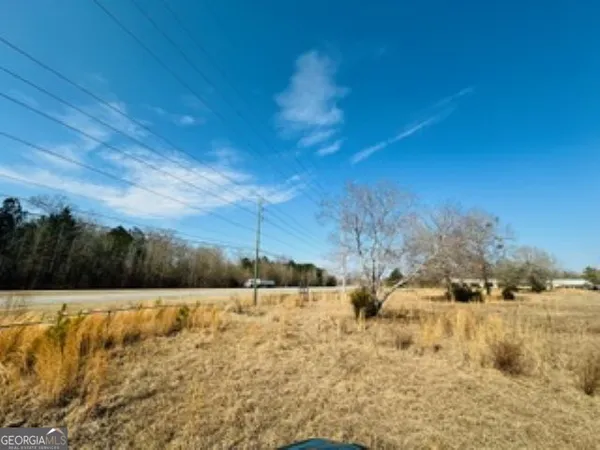 a view of yard with trees