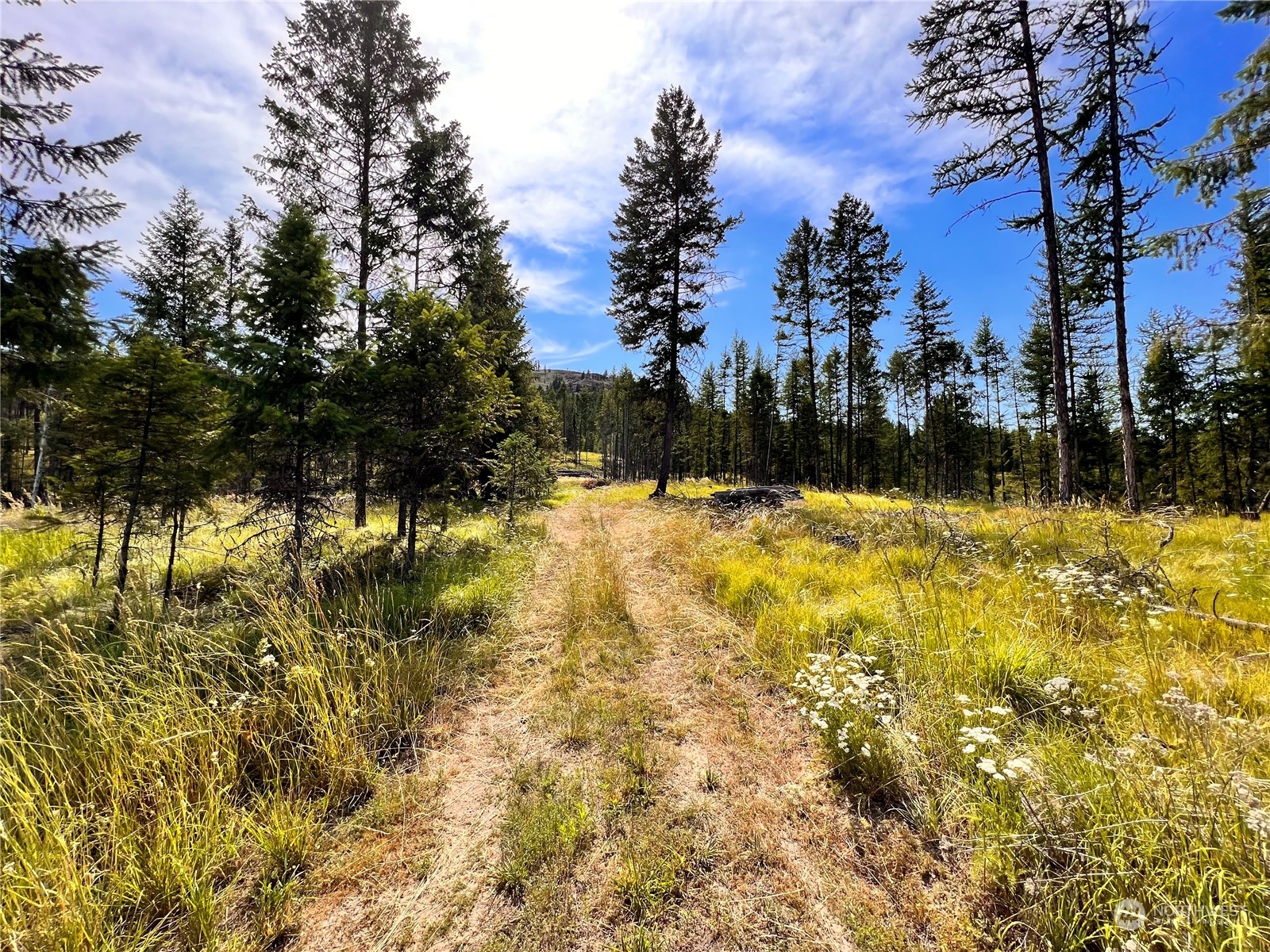 44 Vista Drive Republic, WA 99166 - Photo 17 of 28 a view of swimming pool with an outdoor space and seating area