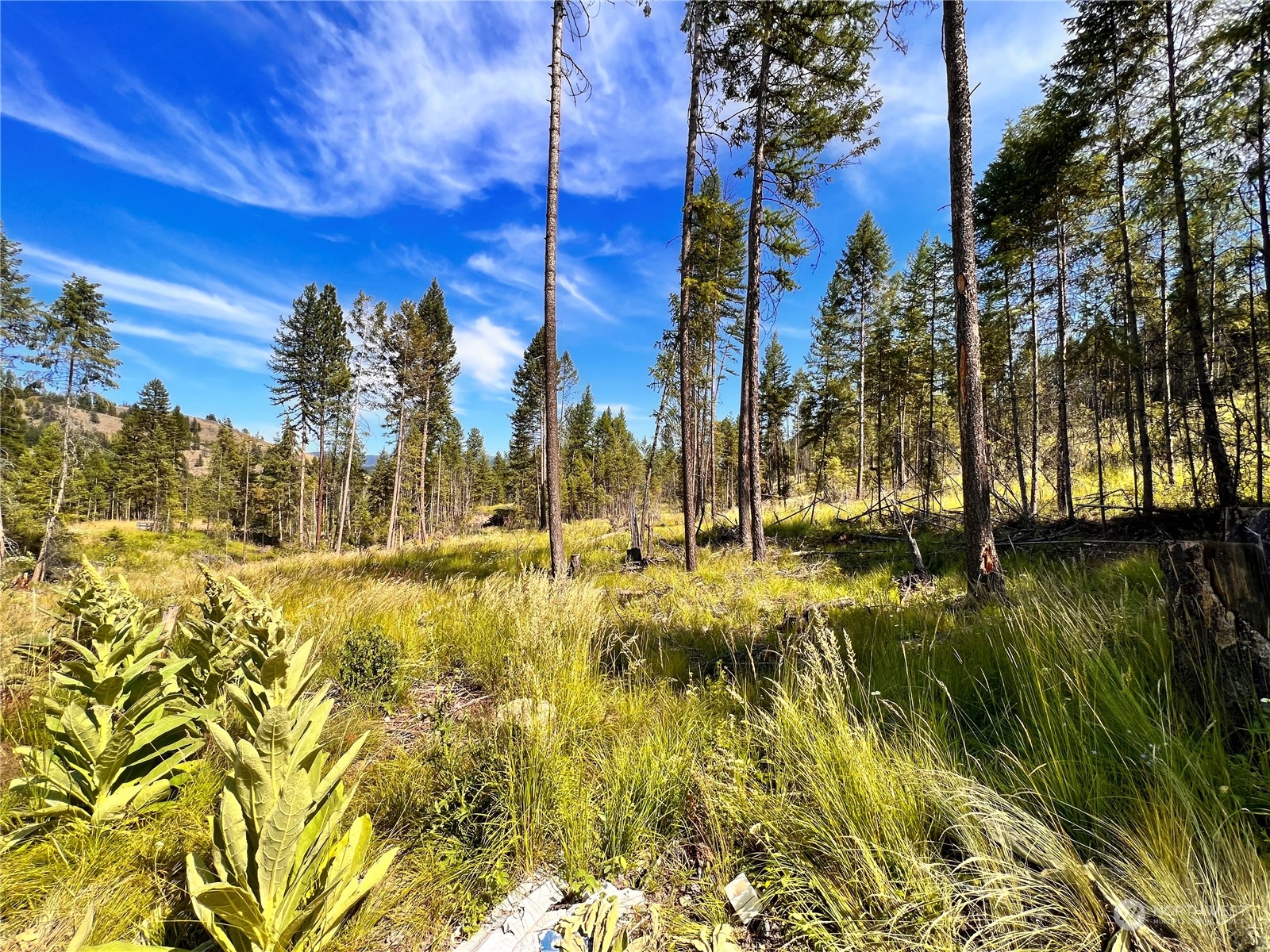 44 Vista Drive Republic, WA 99166 - Photo 2 of 28 a view of swimming pool from a lake view