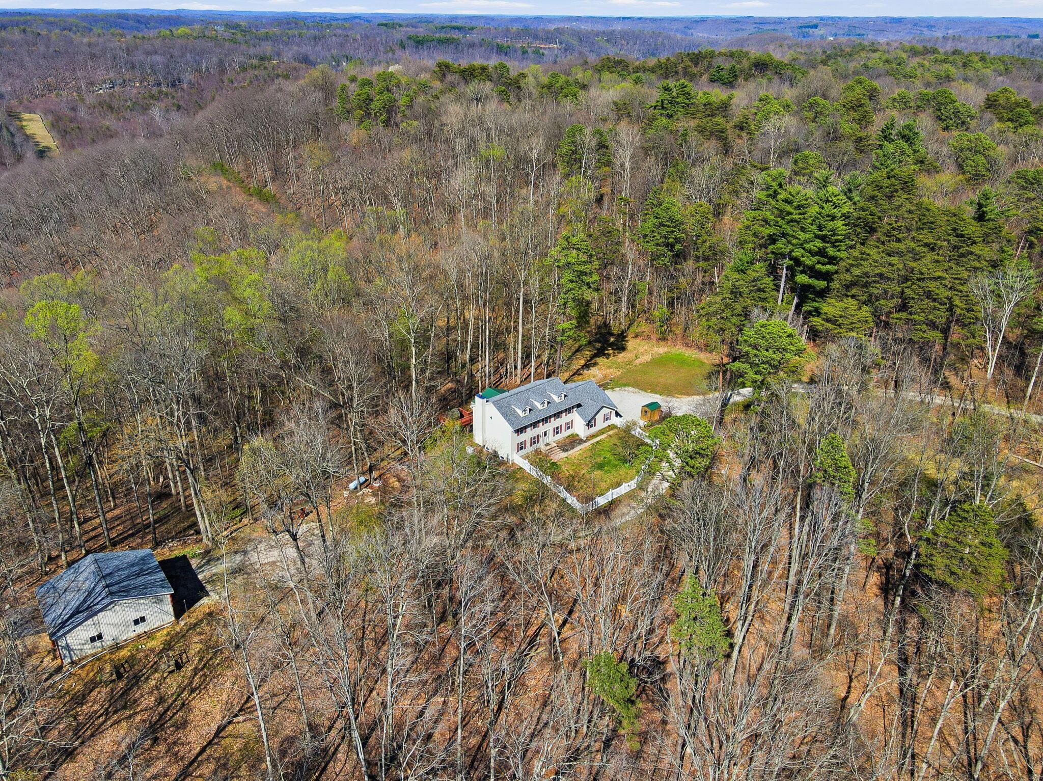 24646 Woltz Road Rockbridge, OH 43149 - Photo 63 of 64 Woods