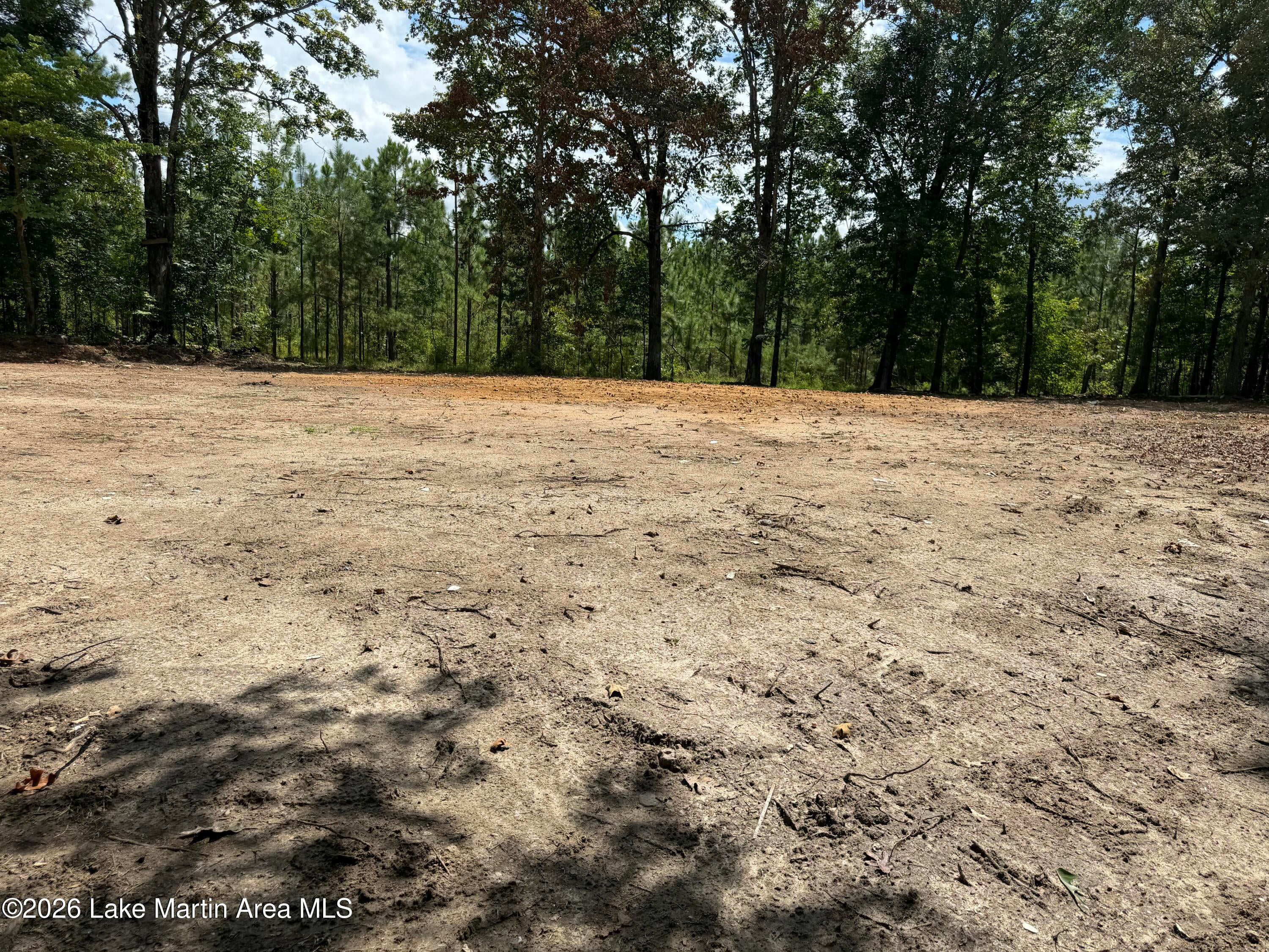 3 /- Acres Rock Springs Road Jacksons Gap, AL 36861 - Photo 3 of 11 Gallery Image 3