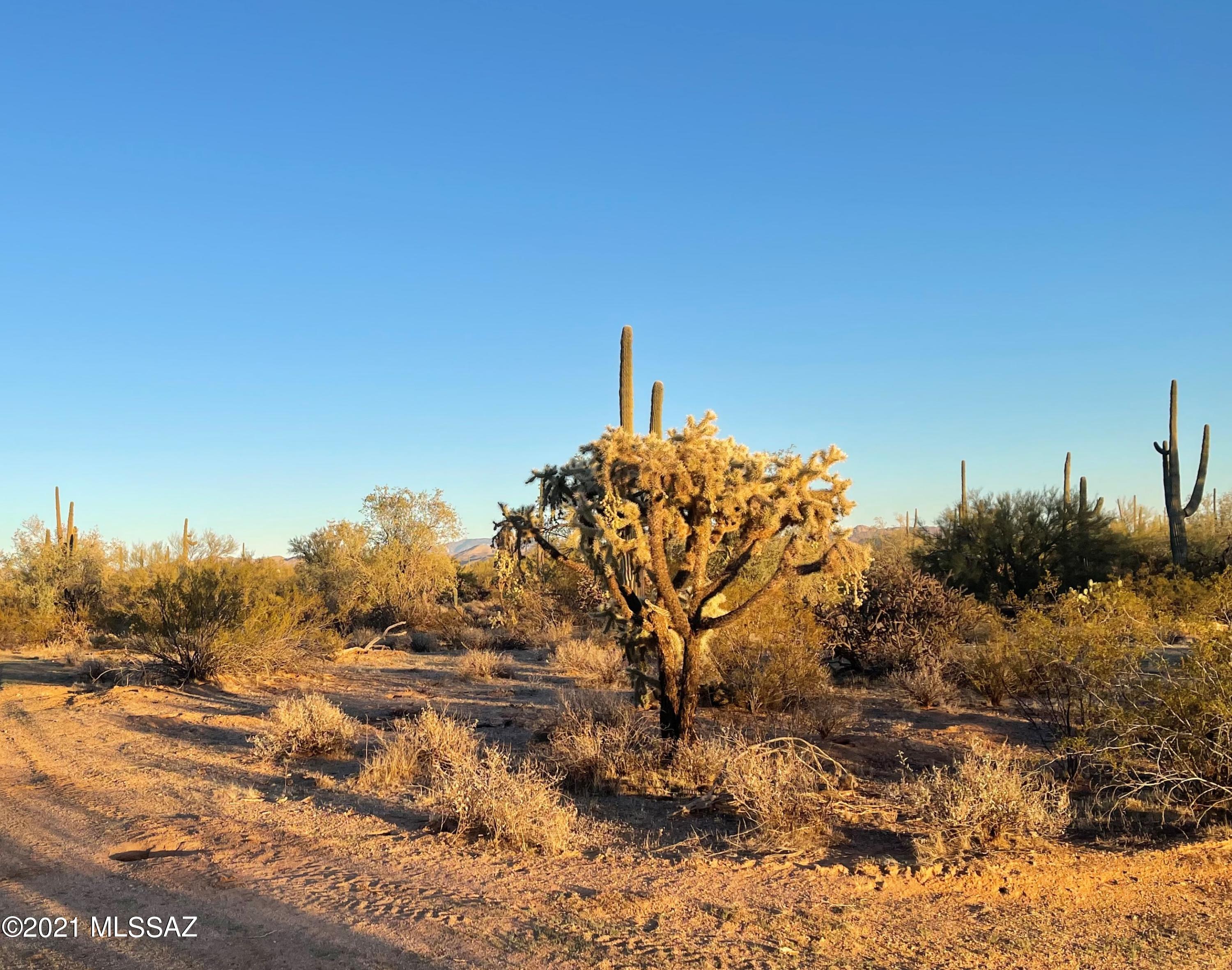 South Cattle Tank Road, Unit 20 Marana, AZ 85658 - Photo 8 of 20