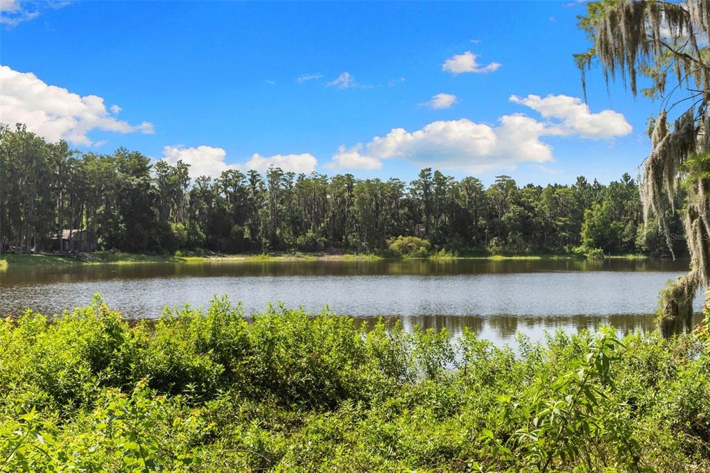 18117 Boy Scout Road Odessa, FL 33556 - Photo 18 of 21 Gallery Image 18