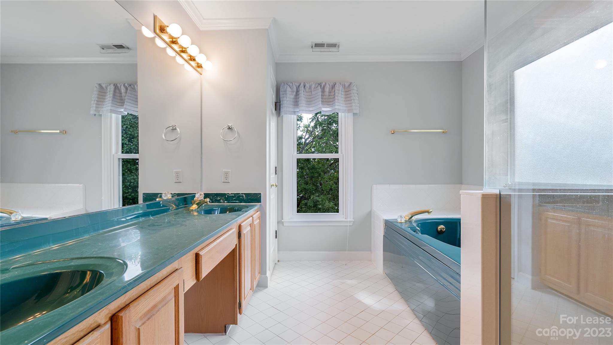 29025 Beaver Run Tega Cay, SC 29708 - Photo 20 of 40 a bathroom with a granite countertop sink and a tub