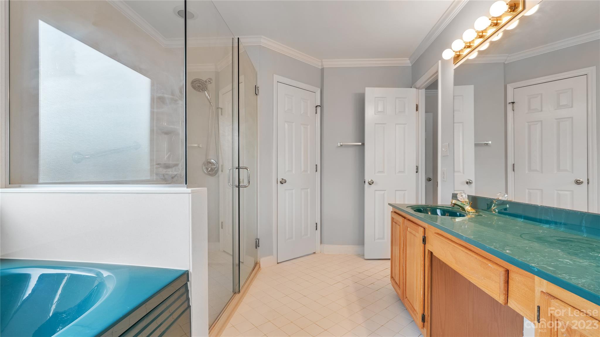29025 Beaver Run Tega Cay, SC 29708 - Photo 21 of 40 a bathroom with a granite countertop sink and a mirror