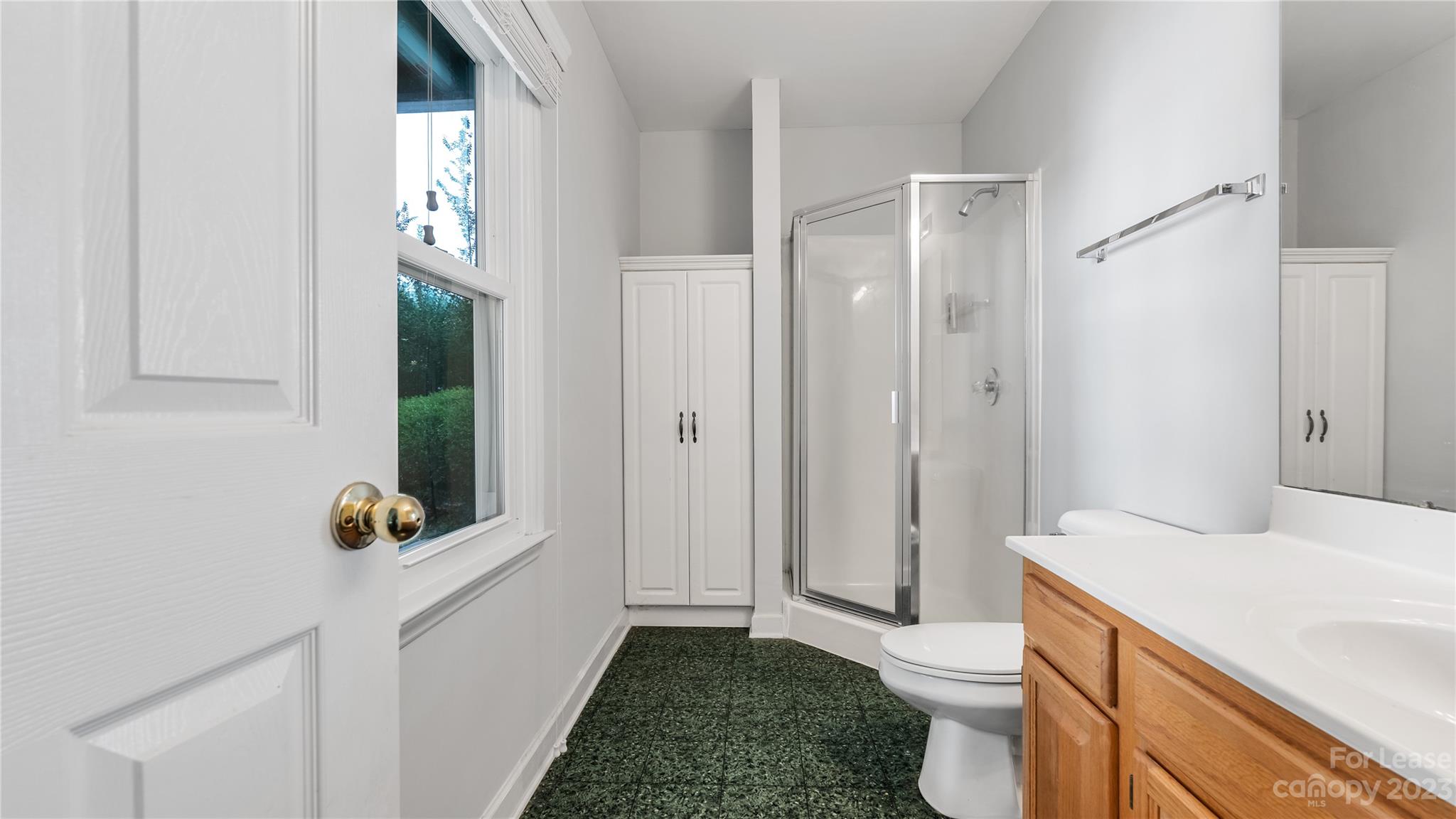 29025 Beaver Run Tega Cay, SC 29708 - Photo 31 of 40 a bathroom with a sink toilet and shower