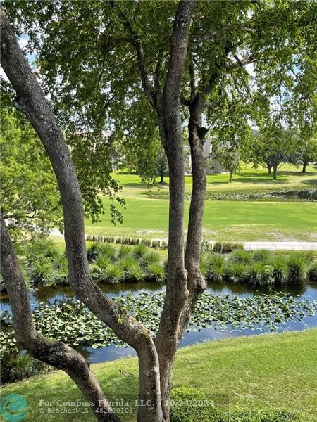 9495 Evergreen Place, Unit 405 Davie, FL 33324 - Photo 5 of 17 a view of a garden with an ocean view
