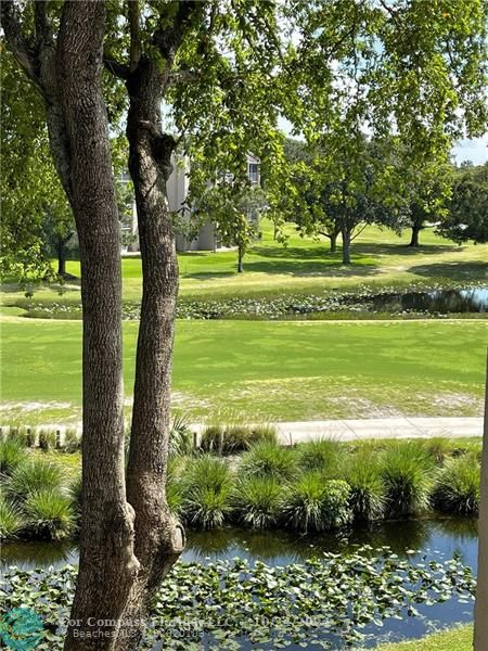 9495 Evergreen Place, Unit 405 Davie, FL 33324 - Photo 6 of 17 a view of a grassy field with an trees