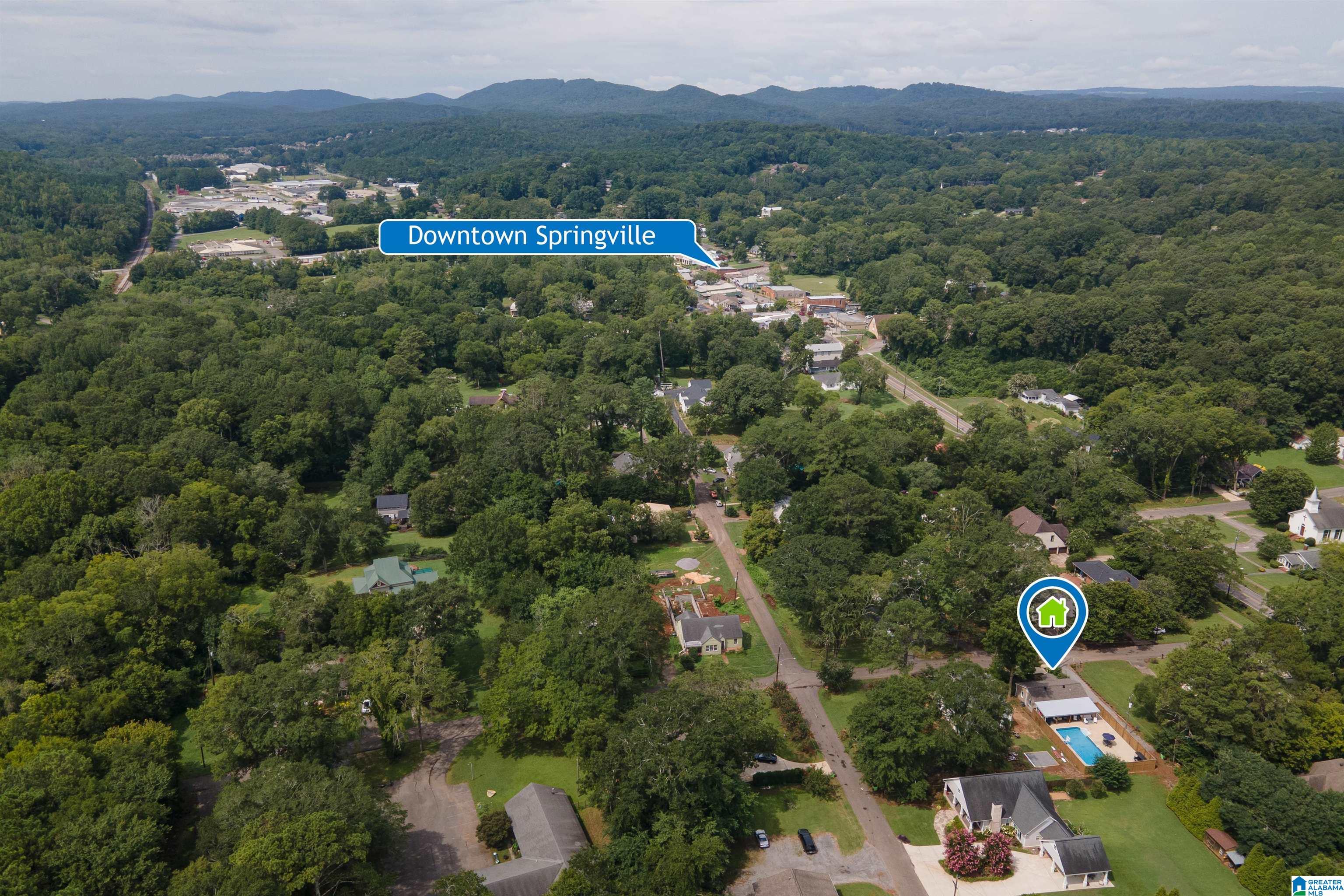 43 Gin Street Springville, AL 35146 - Photo 35 of 35