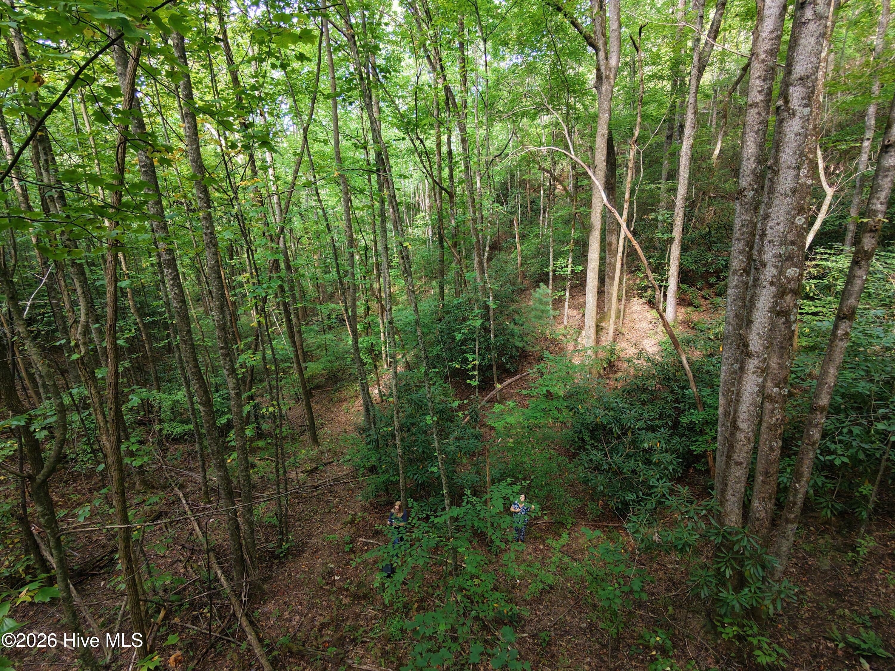 0 Collett Creek Road Andrews, NC 28901 - Photo 5 of 10 dji_fly_20260919_105658_0215_17904204568