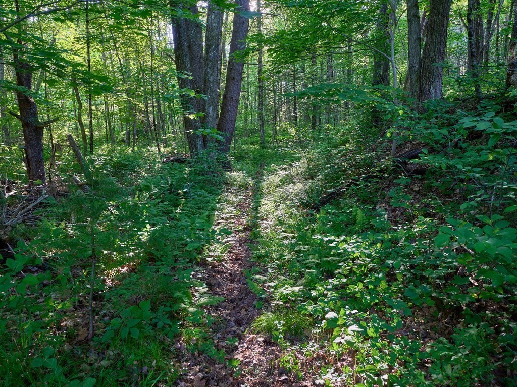 194 Wales Road Brimfield, MA 01010 - Photo 36 of 42 a view of a garden
