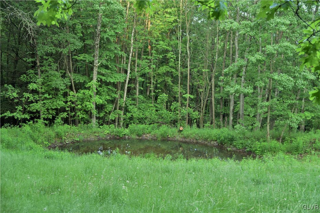 1983 Snyder Road Ulster, PA 18850 - Photo 11 of 50 a view of a lush green forest
