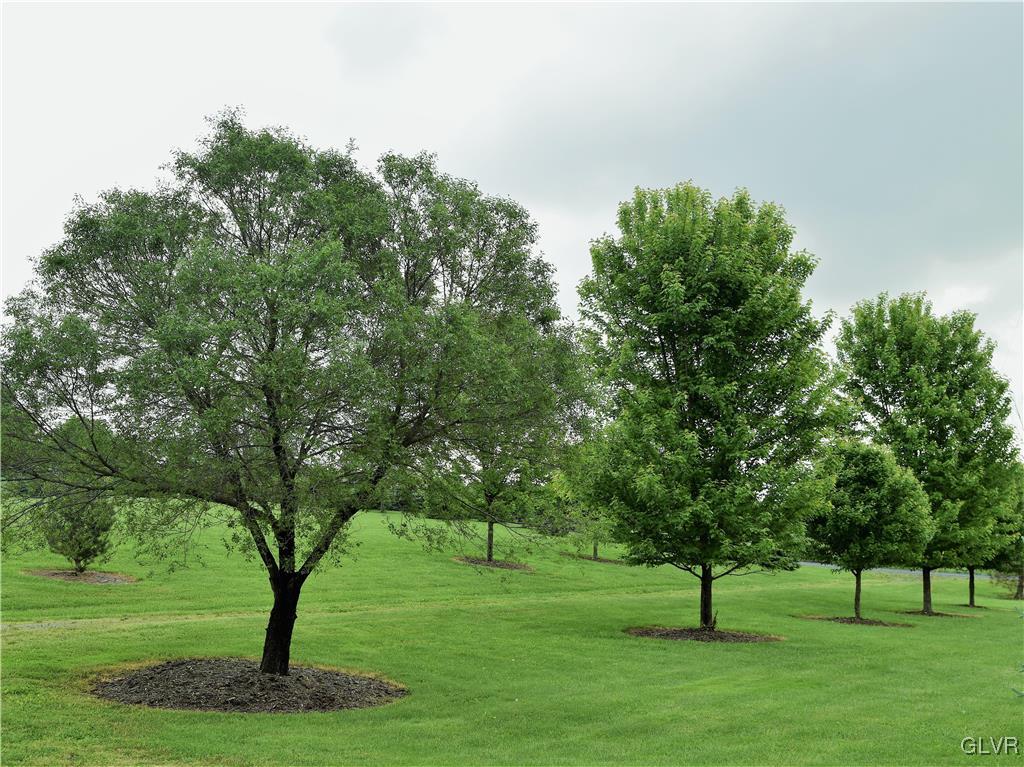 1983 Snyder Road Ulster, PA 18850 - Photo 41 of 50 a view of three trees in a park