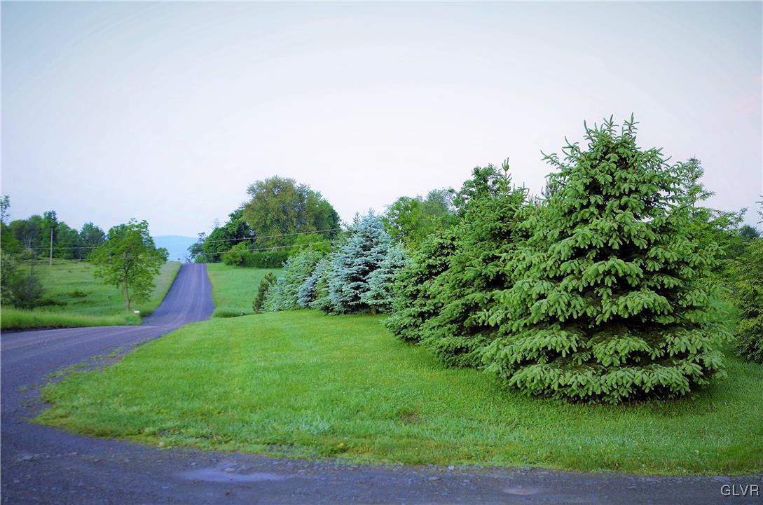 1983 Snyder Road Ulster, PA 18850 - Photo 10 of 50 a view of a green field with plants and large trees