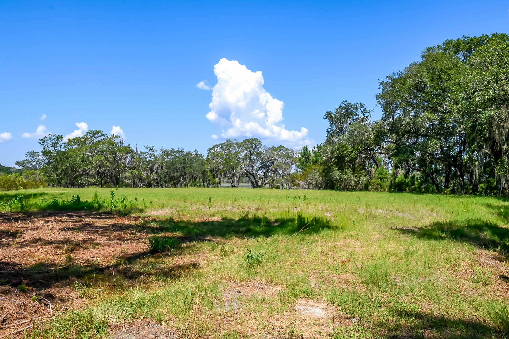 6258 Josie Ridge Road Wadmalaw Island, SC 29487 - Photo 11 of 43 HFL_6258 JOSIE RIDGE-7