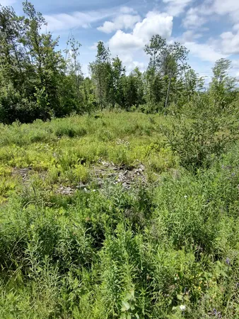 $142,000 | 0 Huff Hill Road East, Hartland, ME 04943