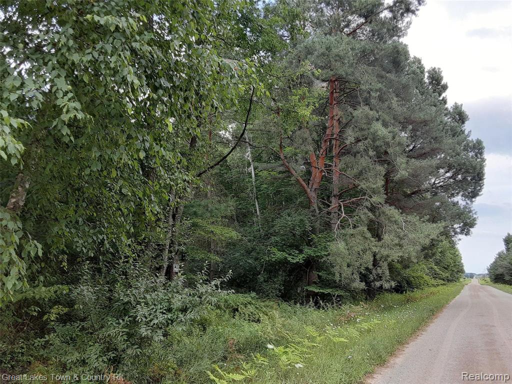 3405 French Line Road Applegate, MI 48401 - Photo 6 of 27