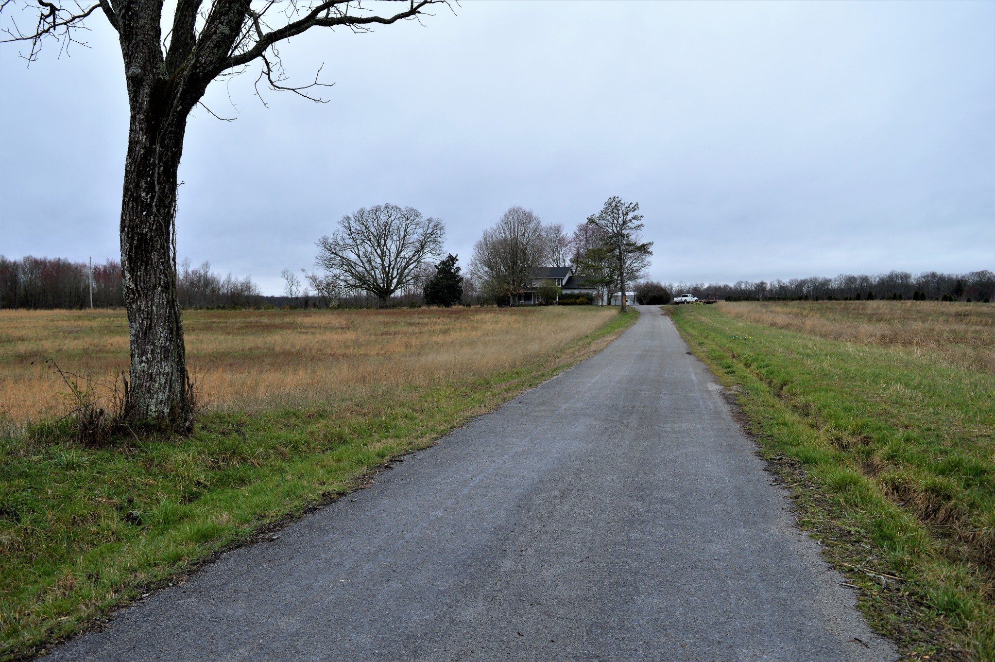 505 W Road Morrison, TN 37357 - Photo 2 of 44 a view of a lake with a big yard